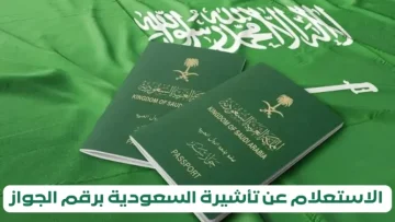 طريقة الاستعلام عن تأشيرة السعودية عبر منصة التأشيرات الرسمية