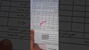 «فرصة رائعة» رابط فضاء اولياء التلاميذ 2025 كيفية كشف نقاط الفصل الثالث كل المستويات