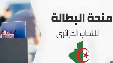الديوان الوطني يعلن توقيت صدور نتائج شهادة التعليم المتوسط 2025 الجزائر نتائج البيام
