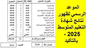 باستخدام الرقم القومي”.. خطوات الاستعلام عن نتائج البيام 2025 الجزائر بواسطة bem.onec.dz