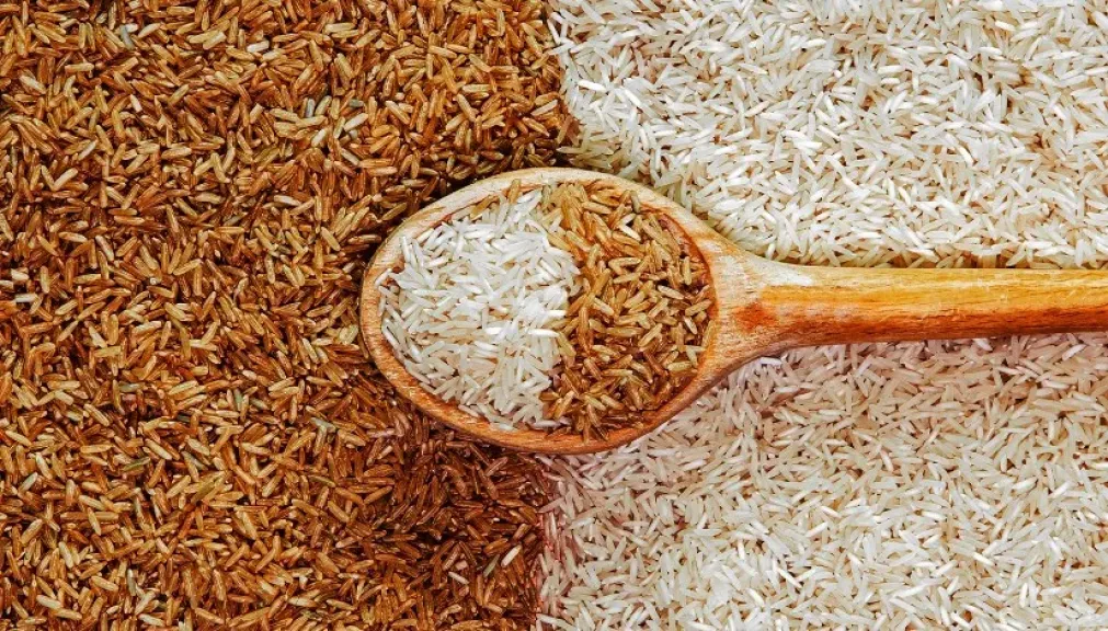 «السوق مولع والأسعار نار» سعر طن الأرز الشعير اليوم السبت 19\7\2025 في الأسواق المصرية يتذبذب بين العرض والطلب