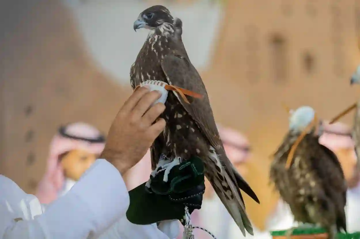 معرض الصقور والصيد السعودي 2025: الكشف عن أسرار إنشاء عيادات صحية متكاملة للصقور