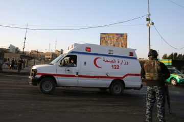 بغداد: قرد هارب يشن هجومًا على امرأة ويسبب لها إصابات خطيرة