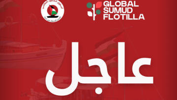 عاجل: اللجنة الدولية لكسر حصار غزة تبرز أحدث المستجدات في الوضع الراهن