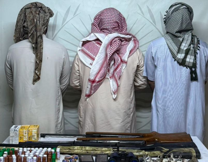 القبض على 3 مخالفين بحوزتهم أسلحة وذخائر، و10 كائنات غامضة