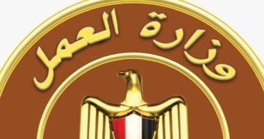 افتتاح فرص عمل جديدة في القطاع الخاص بالجيزة: جميع التفاصيل المتاحة