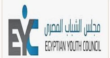 مجلس الشباب المصري يضع خطة متابعة شاملة للانتخابات البرلمانية 2025
