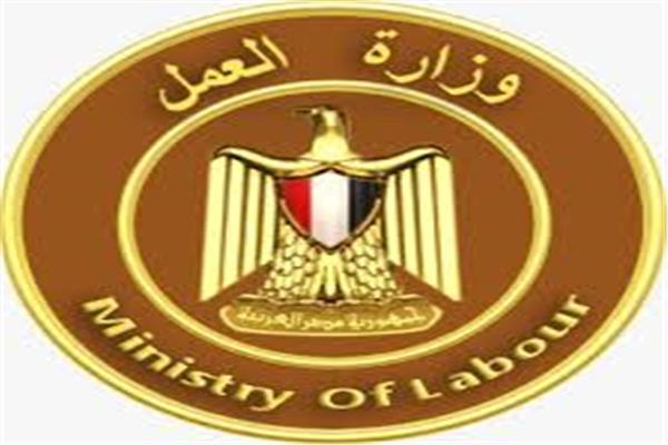 «العمل» تمنح عقود توظيف لذوي الهمم في القاهرة والشرقية لتعزيز فرص العمل الشامل