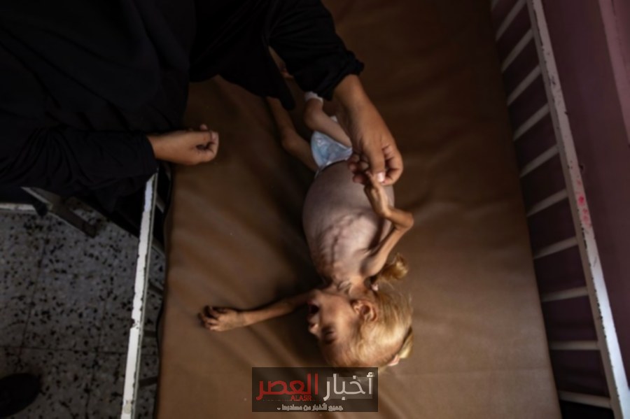 جوجل تروج لإعلانات إسرائيلية تدعي توفر الغذاء في غزة رغم الأزمة الإنسانية