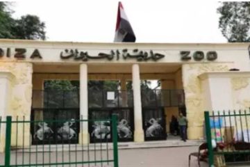 بعد الانتهاء من التطويرات الشاملة: موعد افتتاح حديقة الحيوان بالجيزة وخطة الربط مع حديقة الأورمان