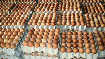 العراق يفرض حظرًا على استيراد 5 أنواع من المنتجات الغذائية