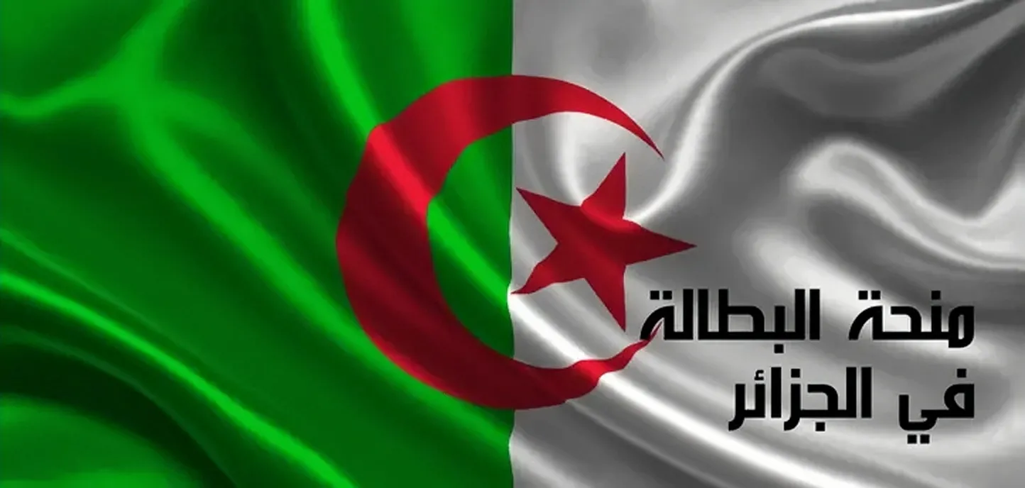 كيف تجدد منحة البطالة في الجزائر 2025 عبر الوكالة الوطنية للتشغيل؟ إليك الخطوات والشروط الكاملة
