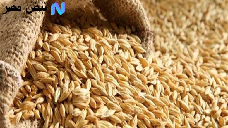 سعر طن الأرز الشعير اليوم يربك الأسواق.. أسعار العريض والرفيع تستقر والمستهلك يترقب الجديد